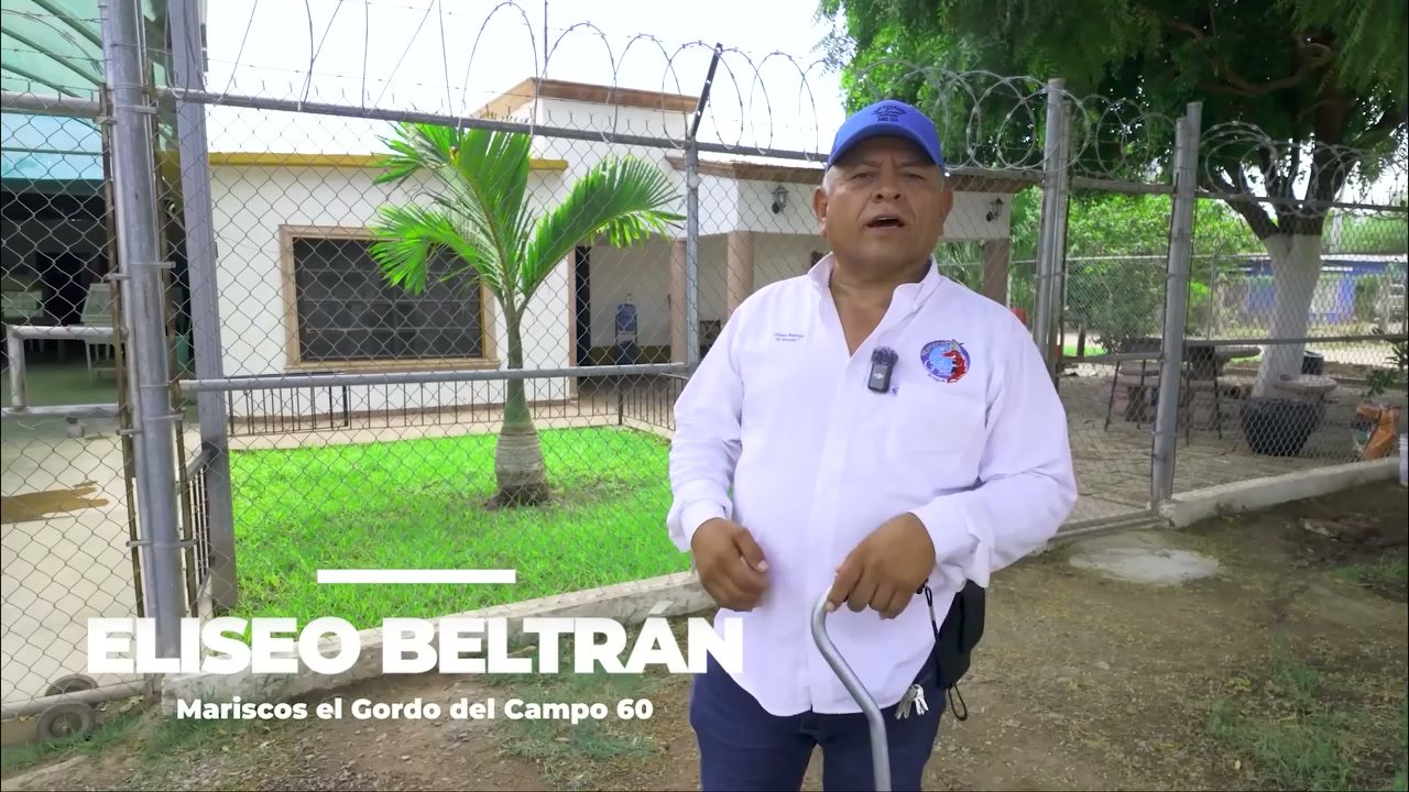 Mariscos El Gordo — De la Cahuamanta al Éxito (Mini-Documental)